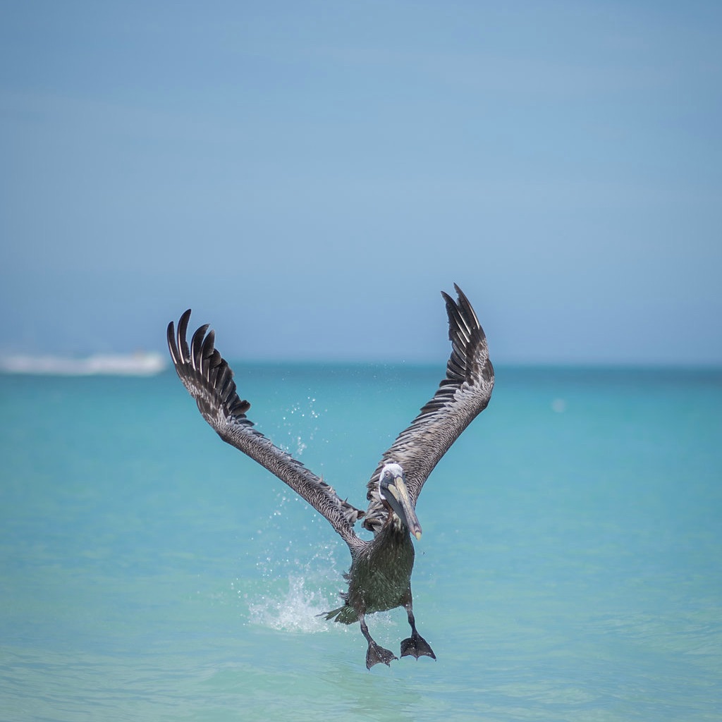 placeholder image-sq