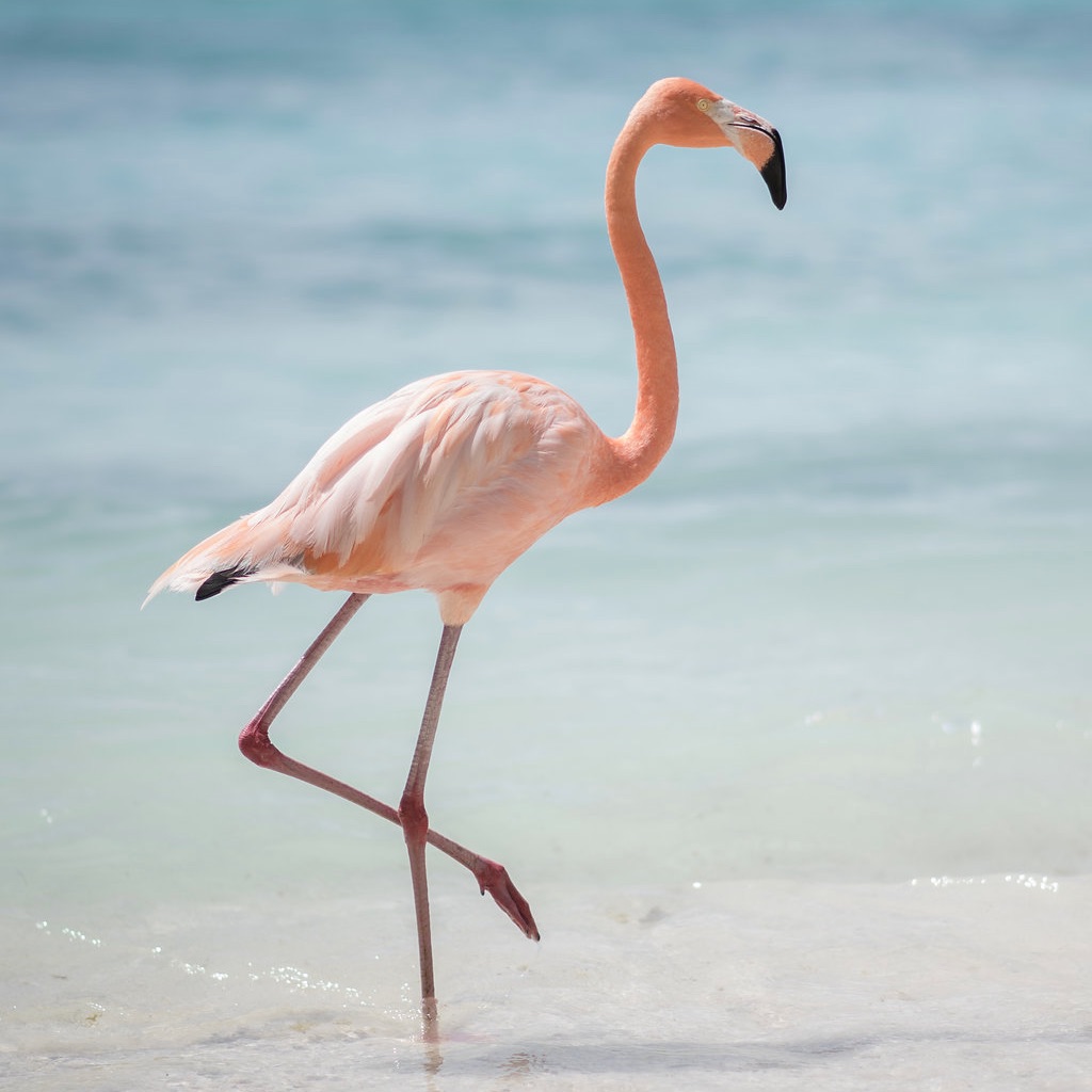 placeholder image-sq